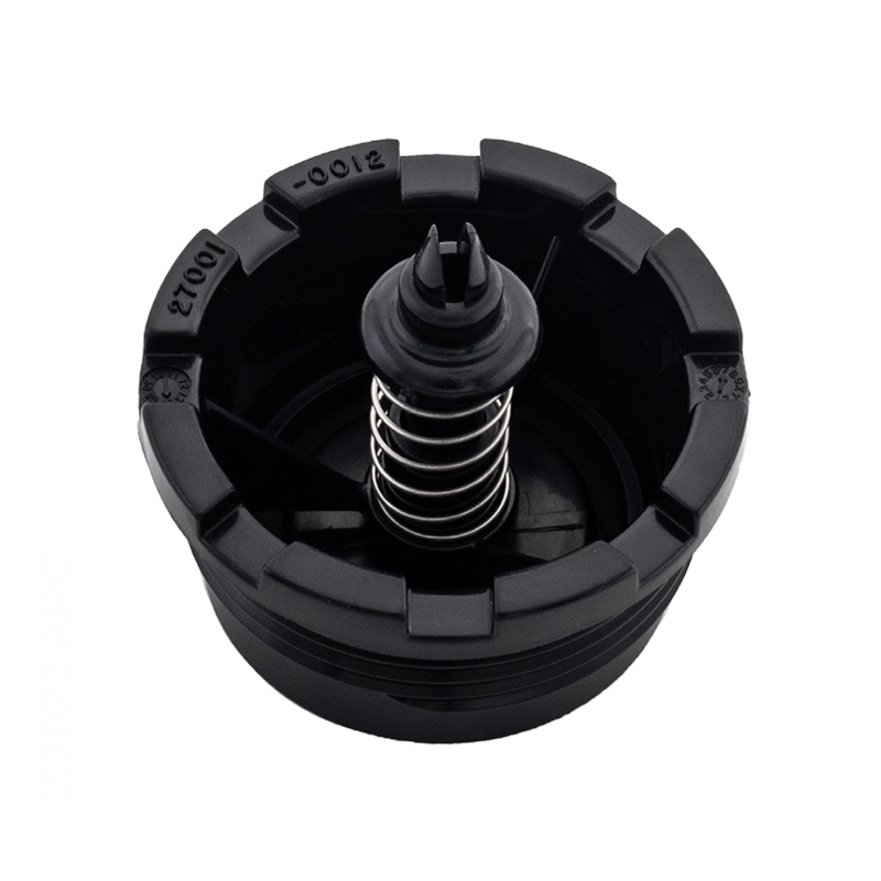 Pentair Tan Spring Check Valve