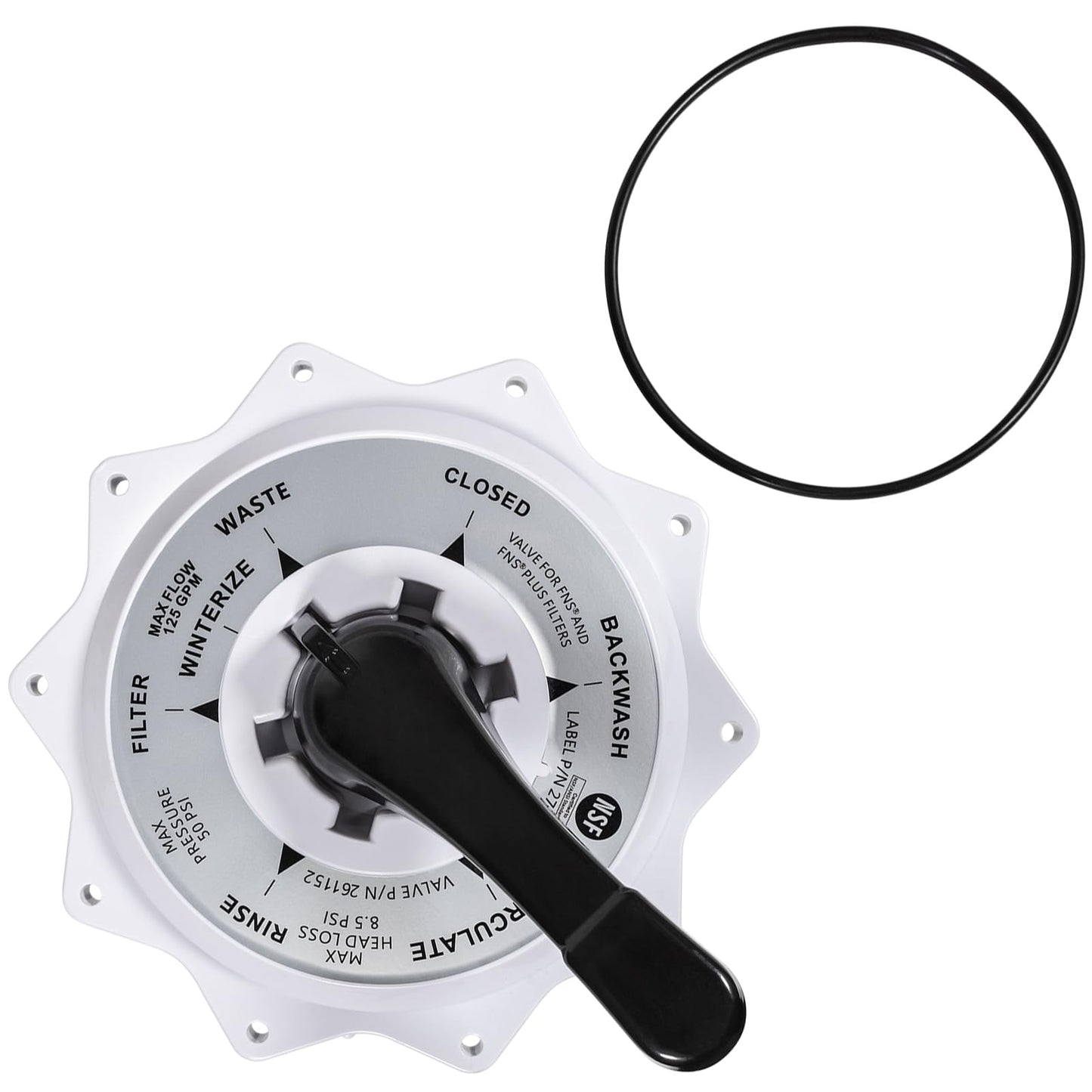 Pentair 2" Valve Top Assembly