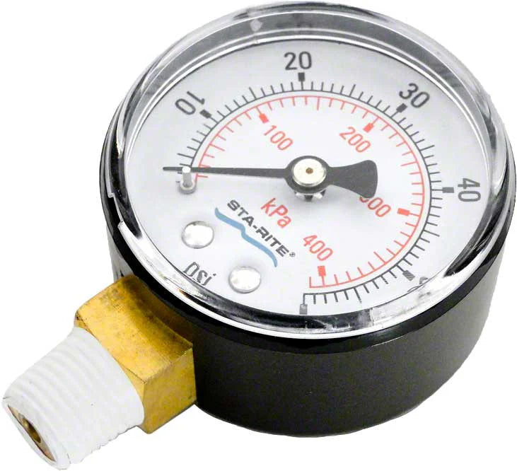 Pentair .25" Black Bottom Mount Pressure Gauge