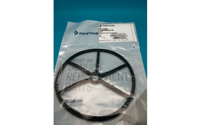 Pentair 2" MultiPort Valve Diverter Gasket