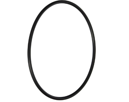 Hayward ORING F/CANISTER