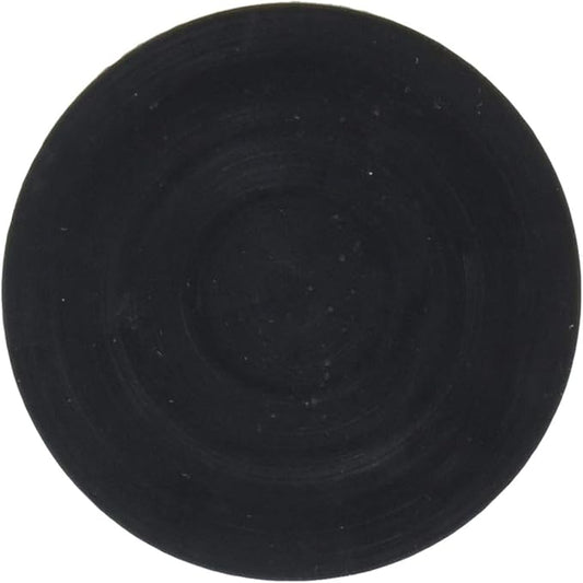 Pentair Sand Drain Gasket