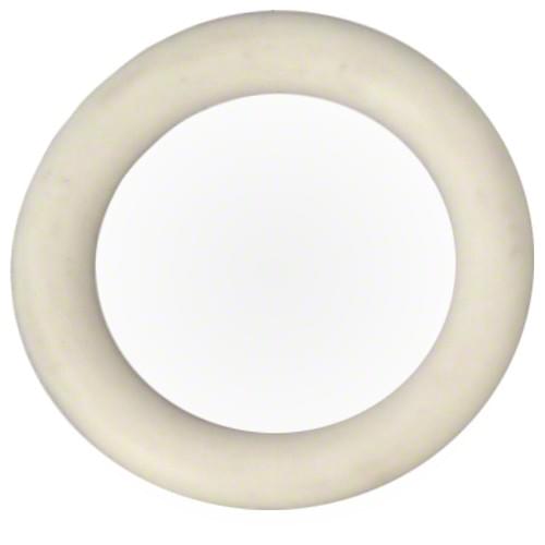 Pentair O-ring for Drain Plug