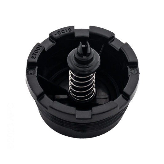 Pentair Tan Spring Check Valve