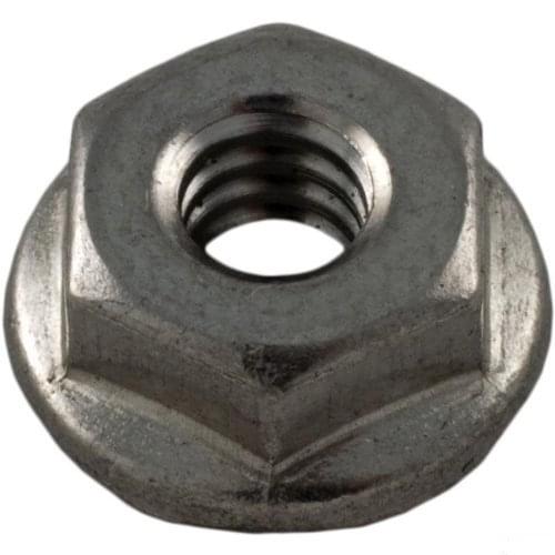 Pentair #10-24 Stainless Steel Serrated Flange Nut