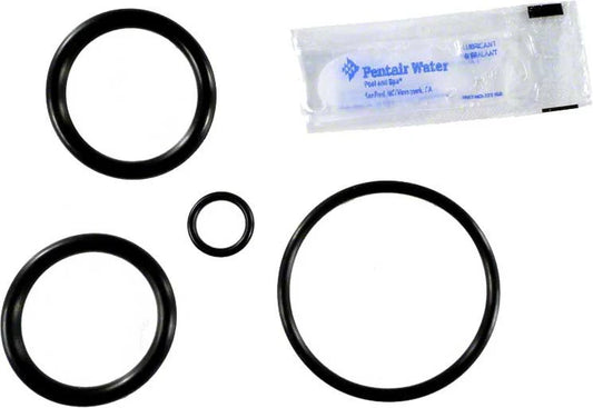 Pentair ABS Backwash Slide Valve O-Ring Kit