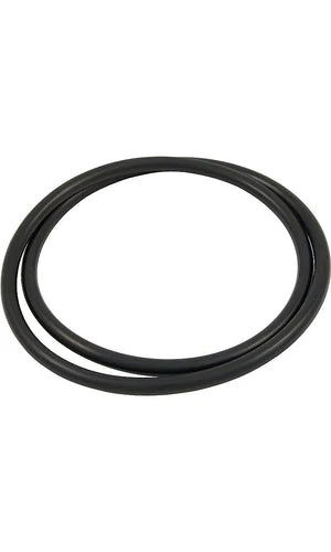 Pentair Tank Body O-Ring