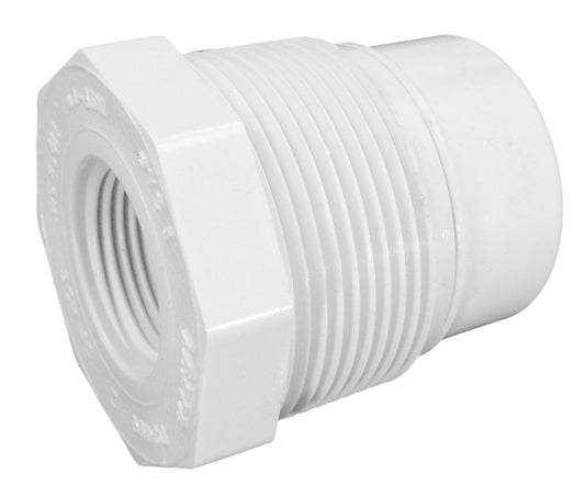 Hayward CX500CV 3/4-Inch Check Valve Replacement for Hayward Chemical Feeders