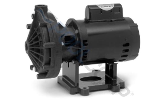 Pentair Booster Pump 3/4HP 115/230V