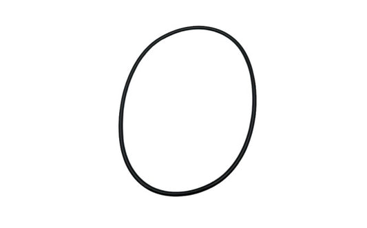 Pentair 18" Tank O-Ring