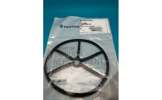 Pentair 2" MultiPort Valve Diverter Gasket