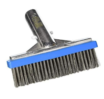 Pentair 6'' Metal Back Stainless Steel Bristle Algae Brush