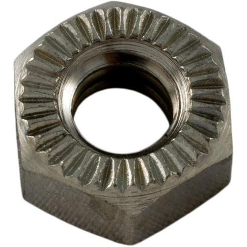 Pentair 1/4" Stainless Steel Hex Nut