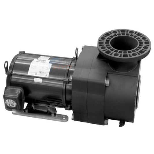 Pentair 7.5 hp EQ Series 208-230-460 V - 3Ph - with strainer