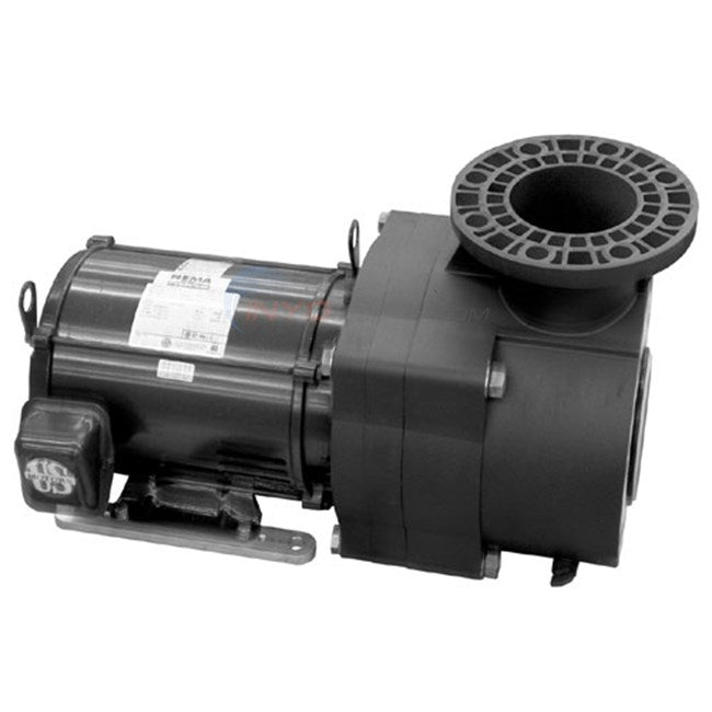 Pentair   15 hp EQ Series 575 V - 3Ph - with strainer
