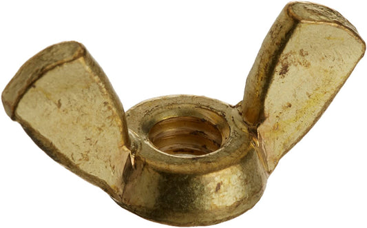 Pentair .25" 20 Brass Wing Nut Kit