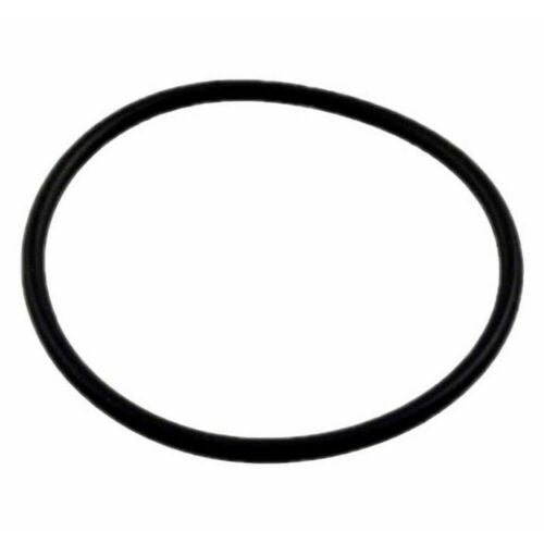Pentair Check Valve O-ring